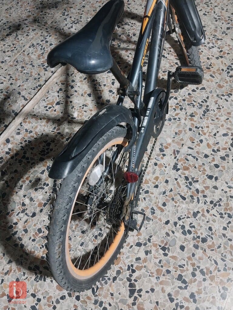 باسکل 8