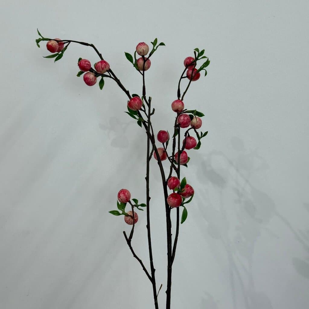 Blush Peach Blossom Fruit Branch 4