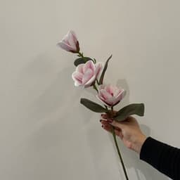 Pink & White