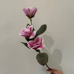 Dusty Pink