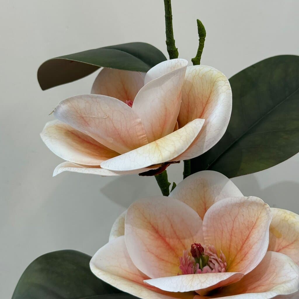 Magnolia Artificial Flower Stem 2