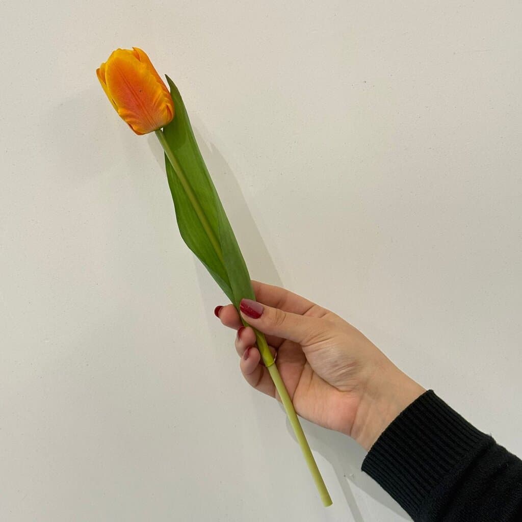 لقە گوڵی دەستکردی تولیپ 4
