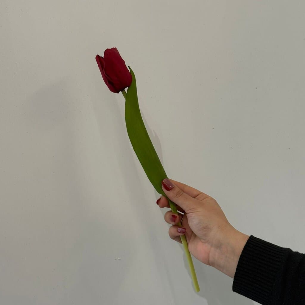 لقە گوڵی دەستکردی تولیپ 10