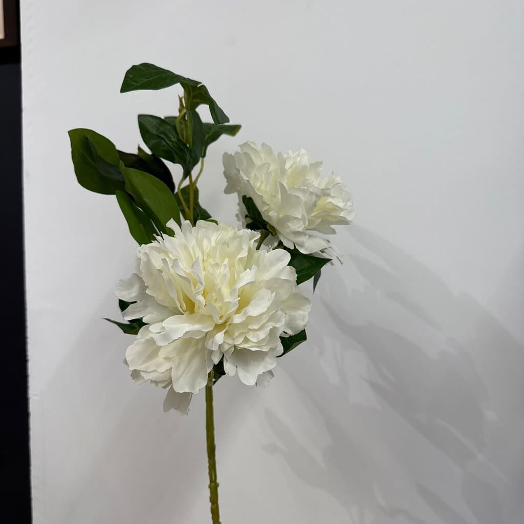 Blush London Peony Stem 1