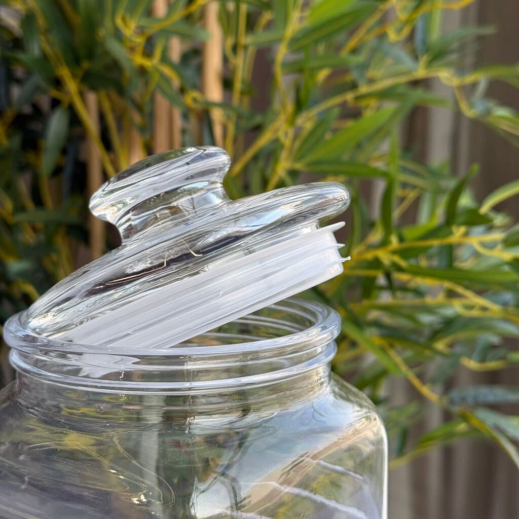 Clear Glass Storage Jar with Lid 3