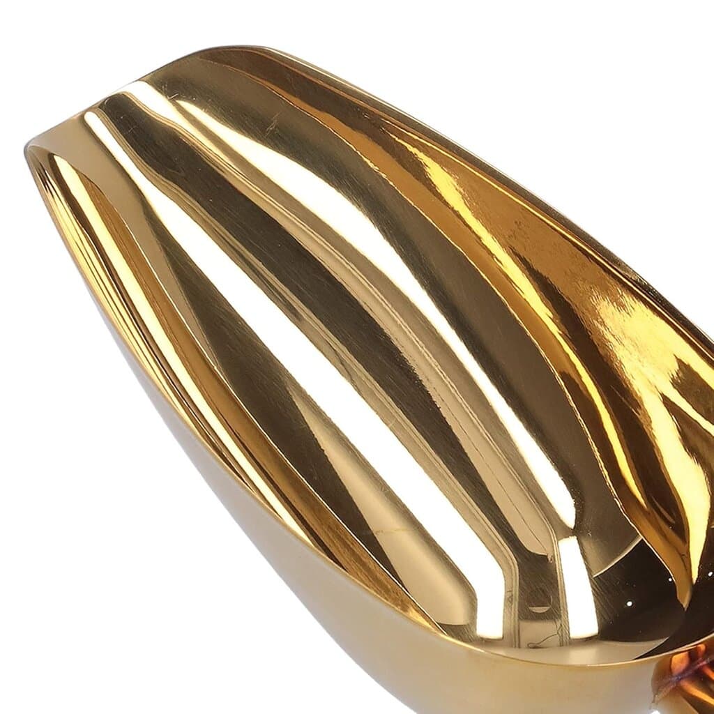 Multi Purpose Golden Metal Scoop 4