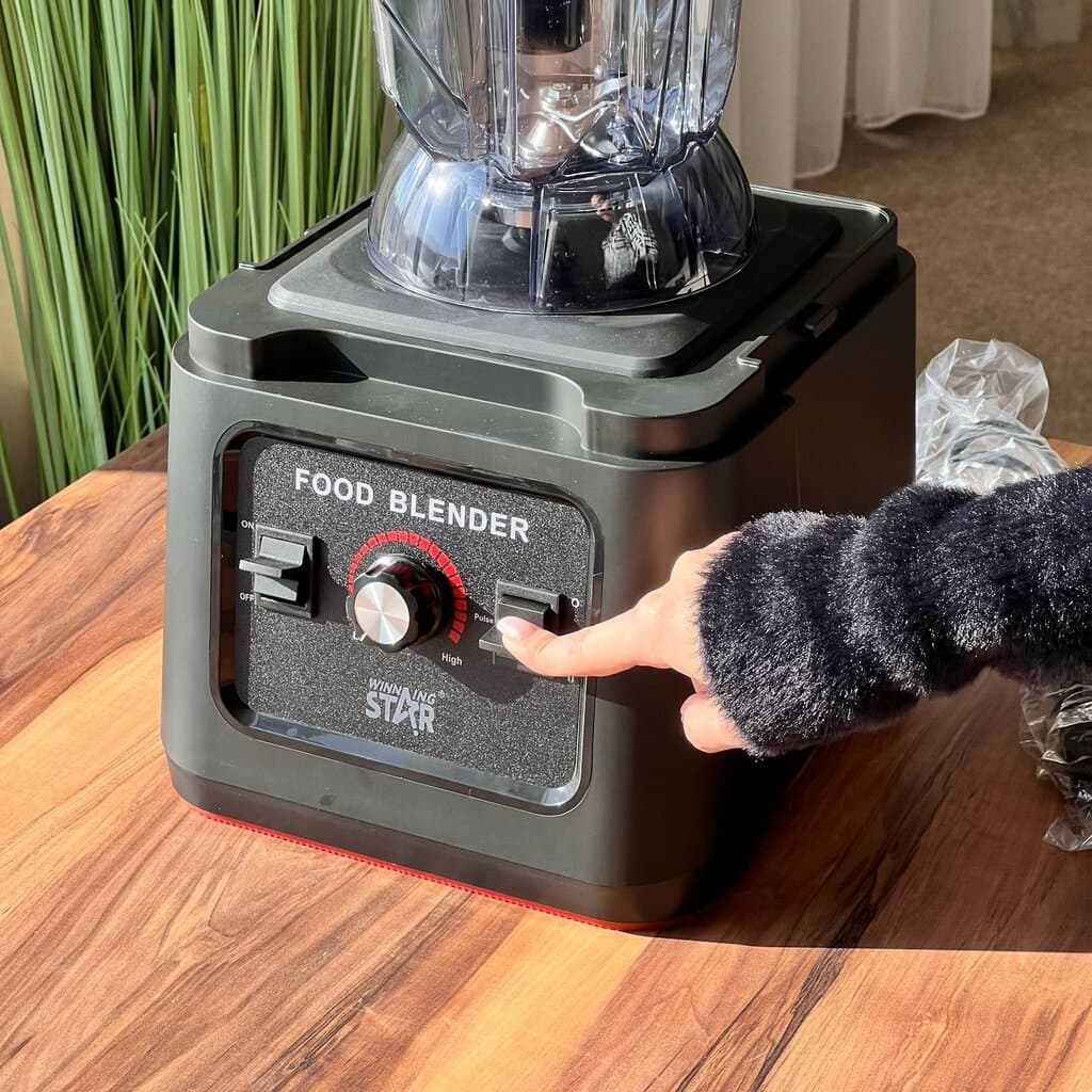2.5L Heavy Duty Professional Blender 4