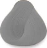Exitenn Hair Color 10001 Nordic Silver 2