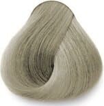 Exitenn Hair Color 10-1 Natural Ash 2