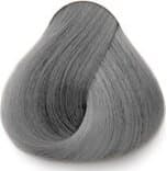 Exitenn Hair Color 8.21 Silver Grey Light Blond 2