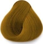 Exitenn Hair Color Nacre NACAR 2