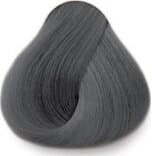 Exitenn Hair Color GRIS Grey 2
