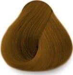 Exitenn Hair Color 607 Cocoa Dark Blond 2