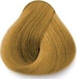 Exitenn Hair Color 10 Extra Light Blond 2