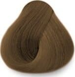 Exitenn Hair Color 8 Intense Light Blond 2