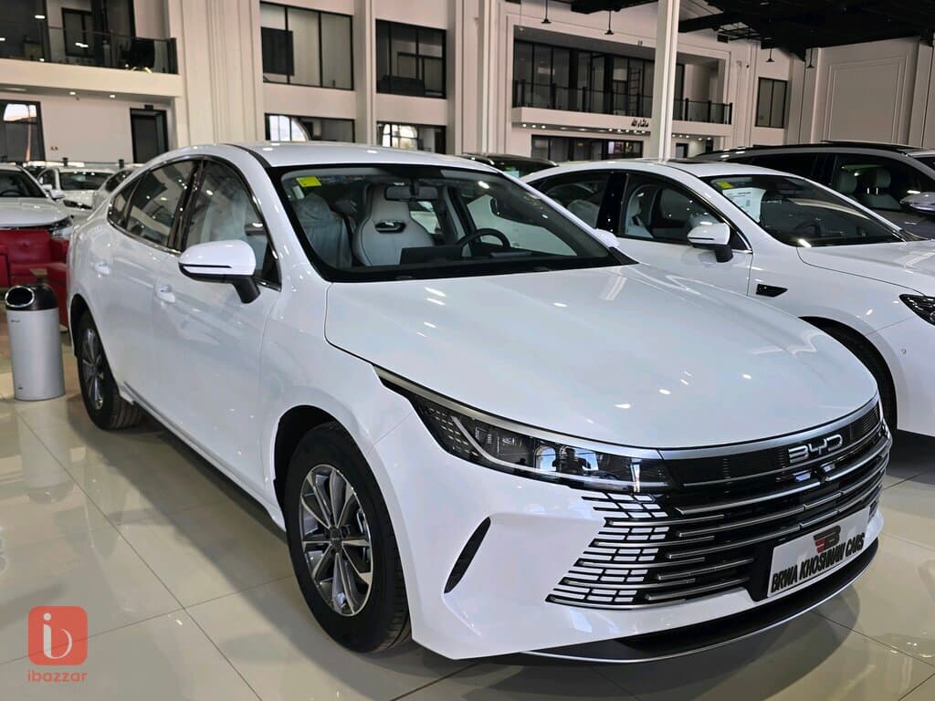 BYD Destroyer — photo 2