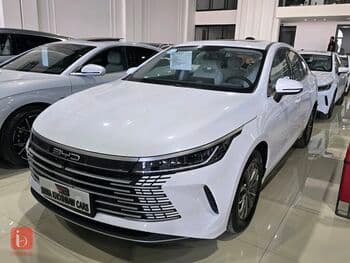 BYD Destroyer