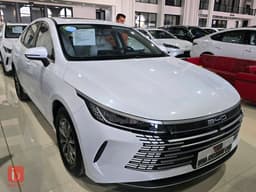 BYD Destroyer — photo 2