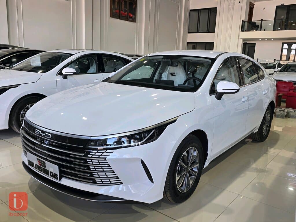 BYD Destroyer