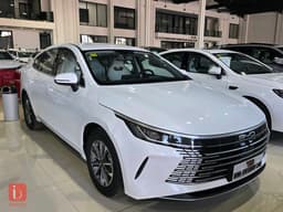 BYD Destroyer — photo 2