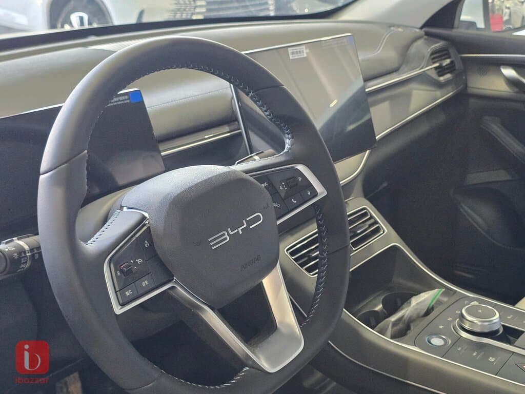 BYD Destroyer — photo 8