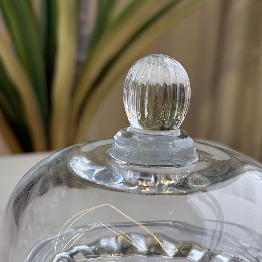 Small Glass Serving Dish with Cover 3