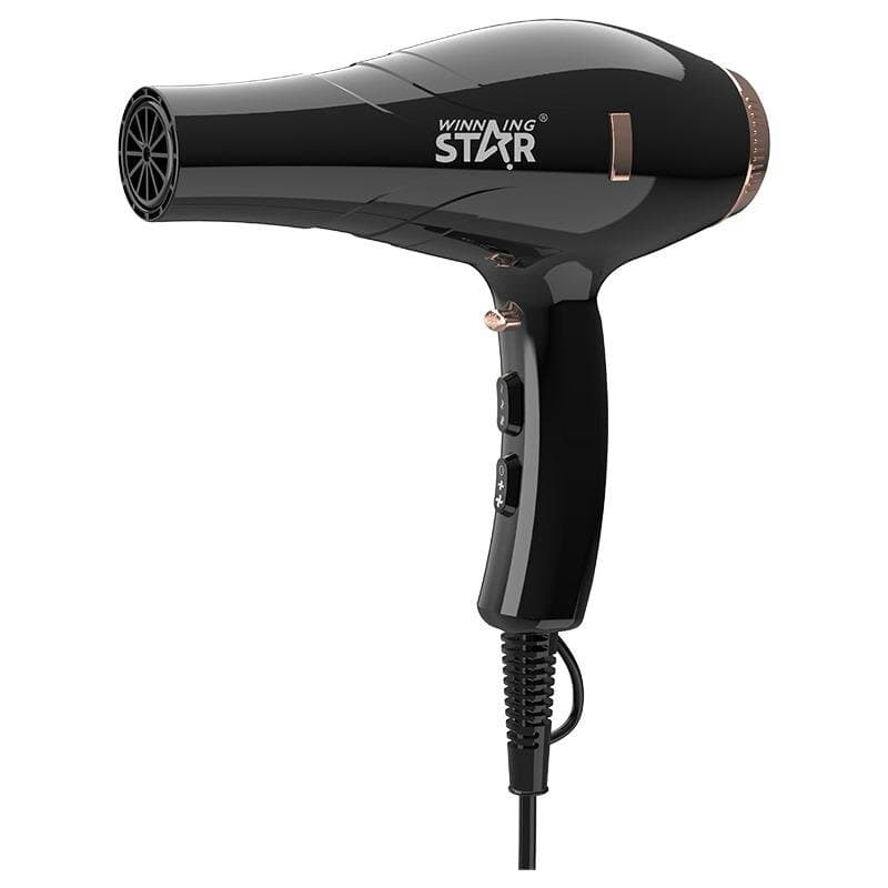 Professional Strong Wind Hair Dryer 1