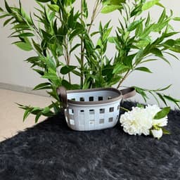 Image 17