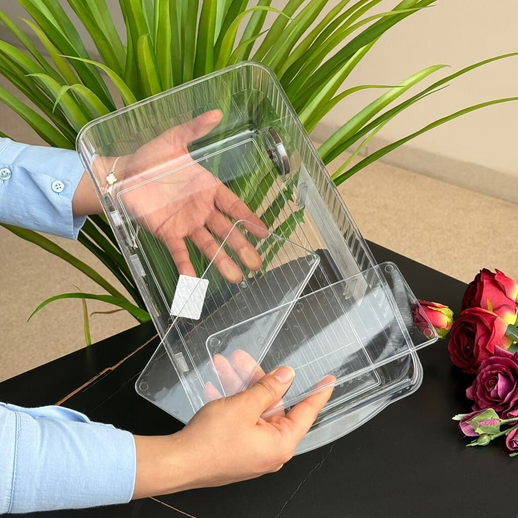 Clear Multi-Section Storage Organizer Box 6