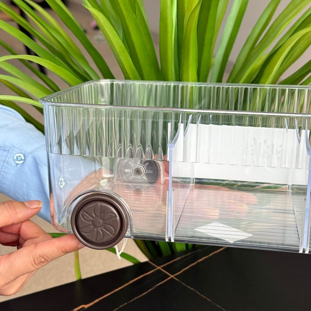Clear Multi-Section Storage Organizer Box 3