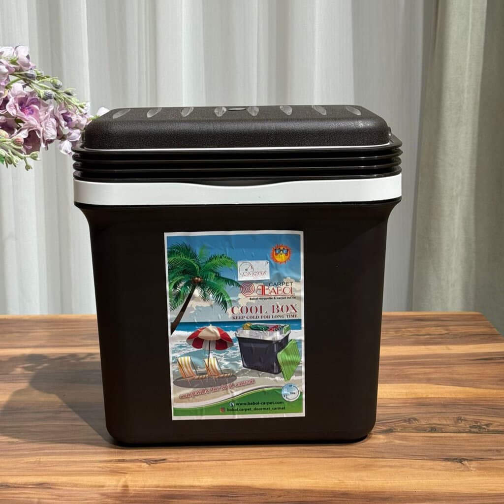 Portable Cooler Box 1
