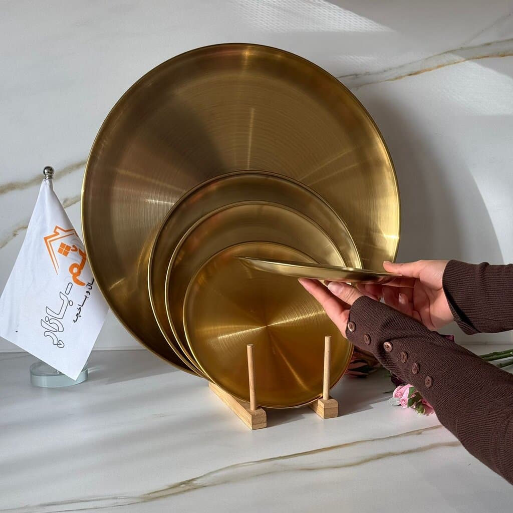 Multi-Purpose Gold Stainless Steel Plates & Trays 6
