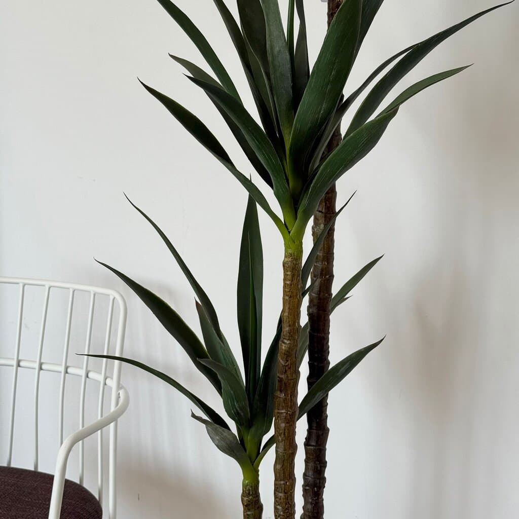 Yucca Elegance Artificial Plant 2