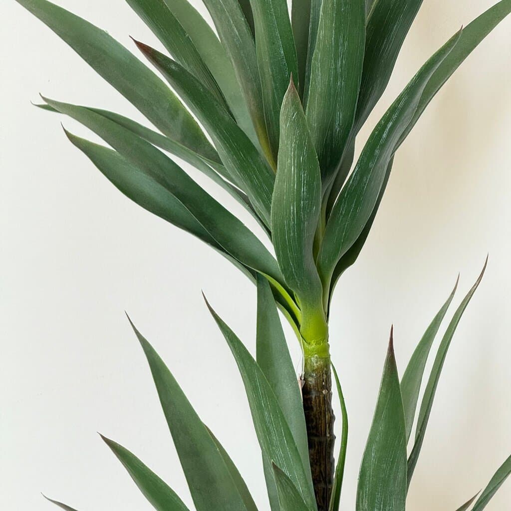 Yucca Elegance Artificial Plant 4
