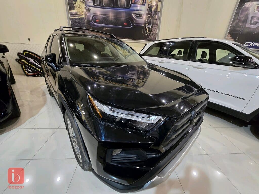 Toyota Rav 4 XLE 2
