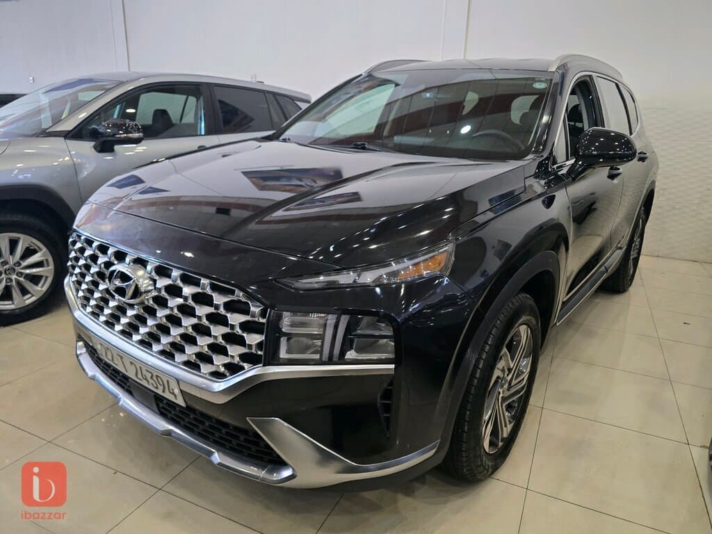 Hyundai Santa Fe 1