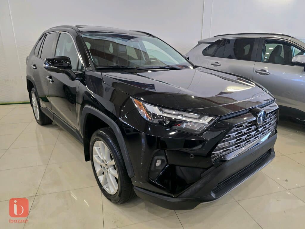 Toyota Rav 4 LE 1