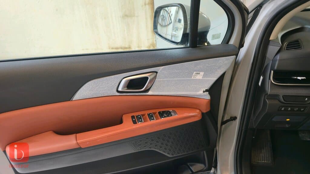 KIA Carnival 17