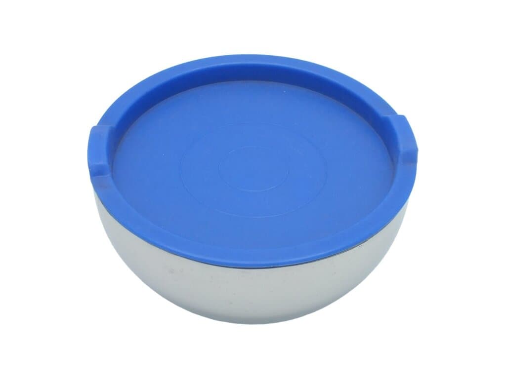 GSW Freezer Container with Plastic Lid 18 cm (Blue) 1