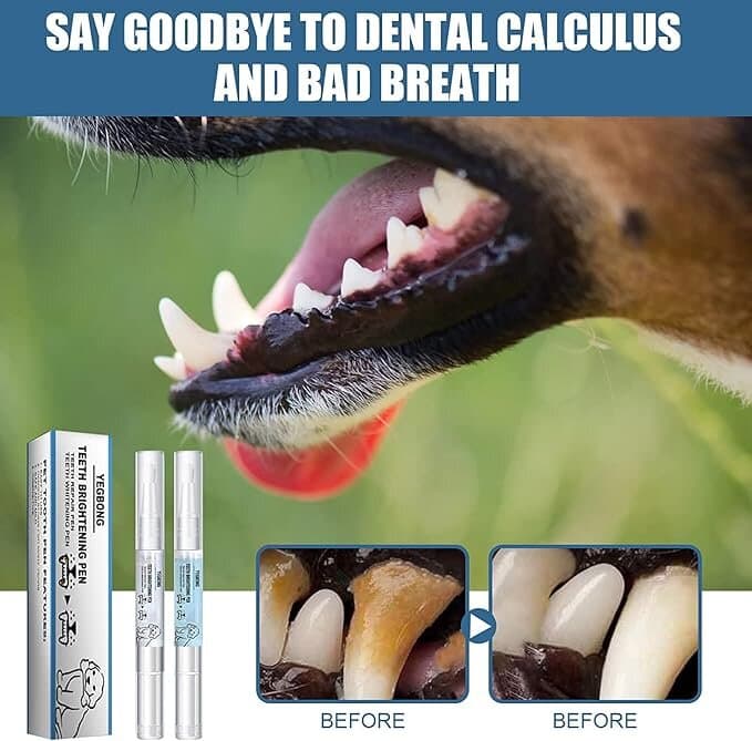 Teeth Cleaning Pen 7