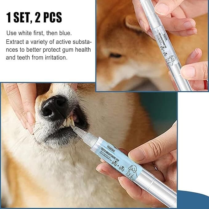 Teeth Cleaning Pen 3