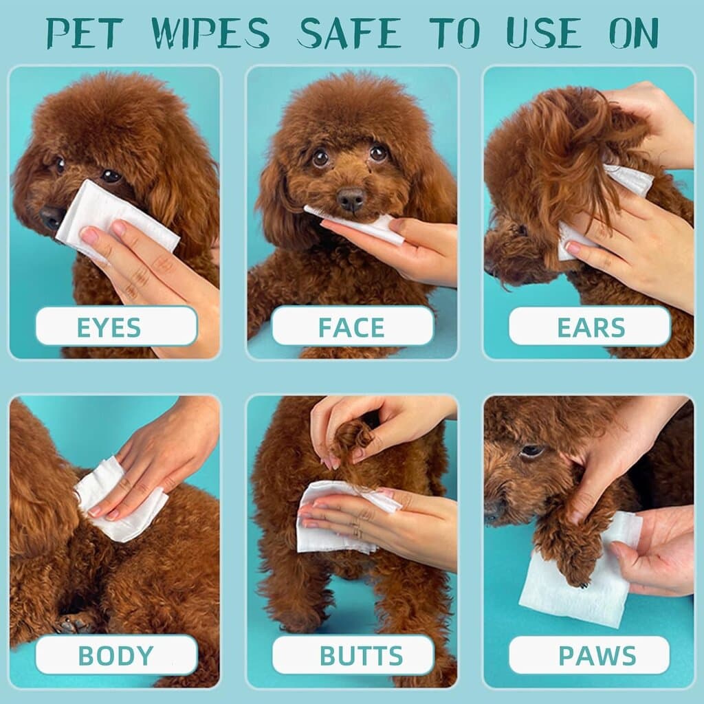 Pet Wipes - 80pcs 6