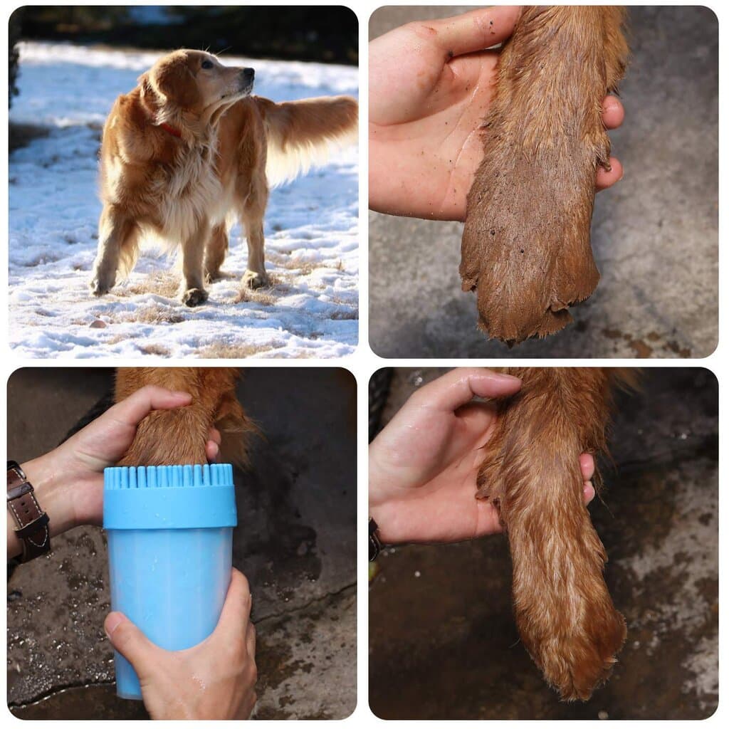 Dog Paw Cleaner 2
