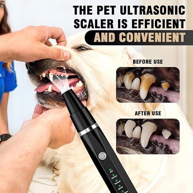 Pet Teeth Cleaning Set 5