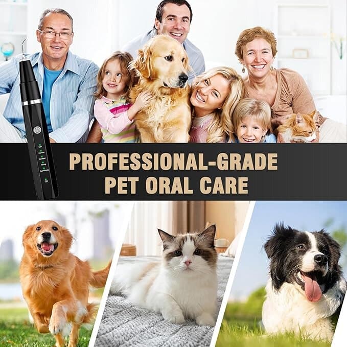 Pet Teeth Cleaning Set 6