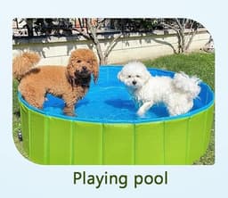 Pool — photo 8