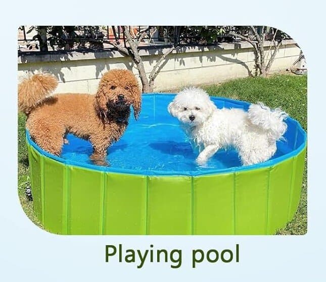 Pool — photo 8