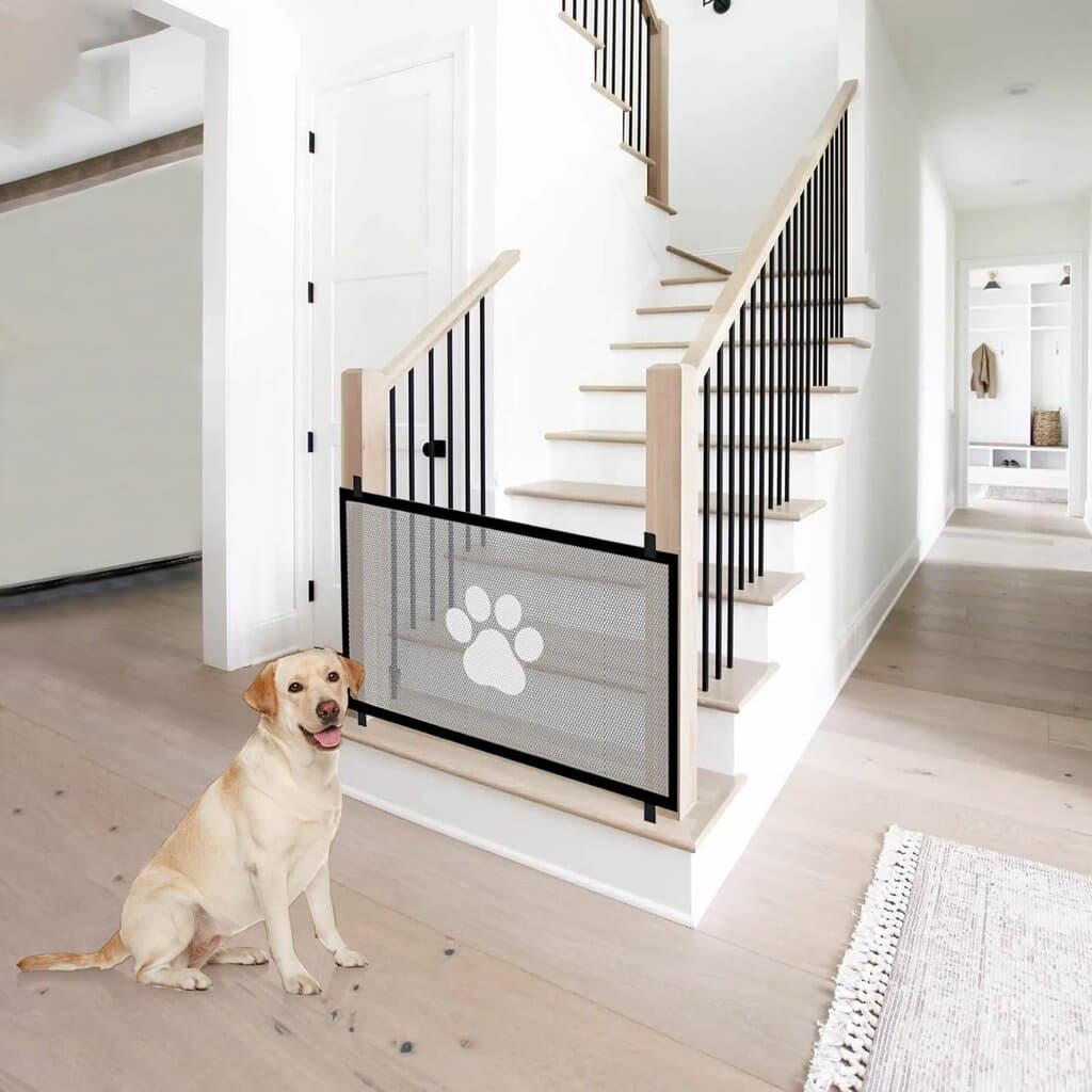 Stair Safety — photo 3