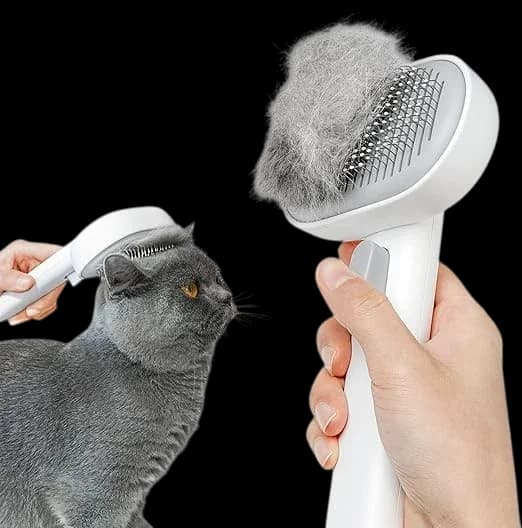 Brush 1