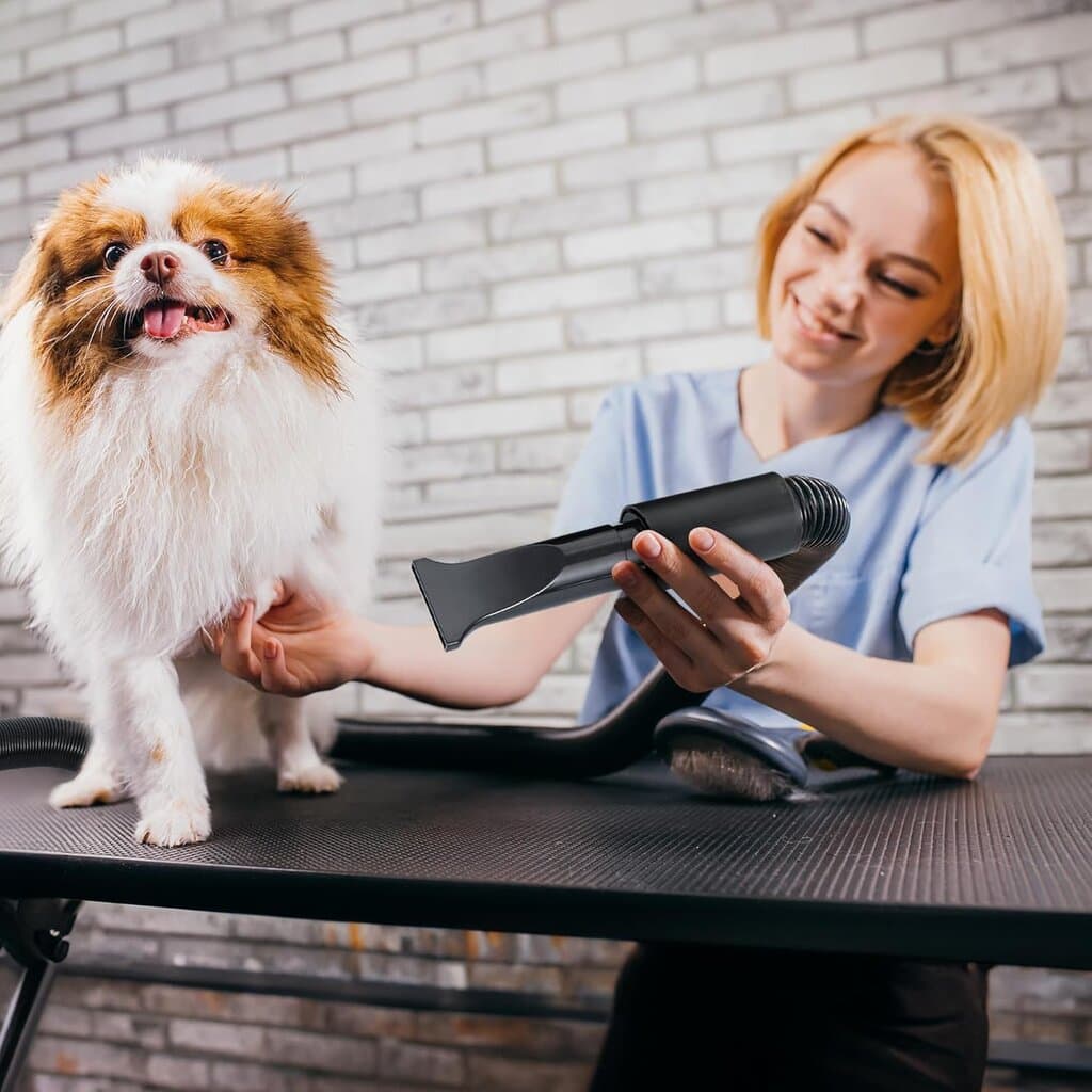 Professional pet Dryer 5